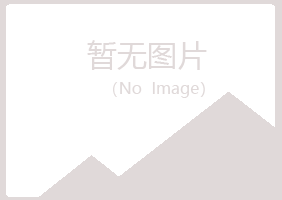 九台雅山化学有限公司